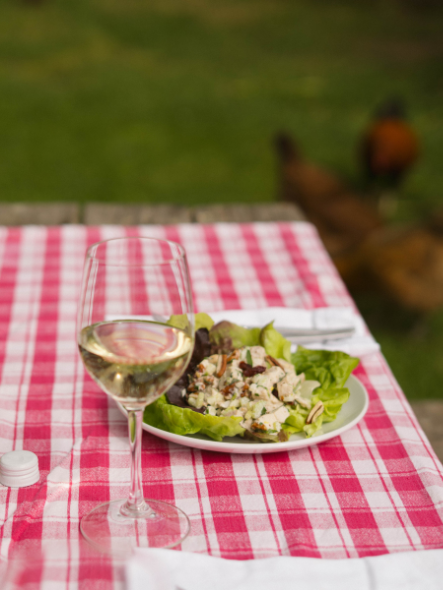 Plate of a chicken salad wrap on a picnic table